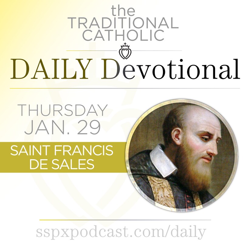 Artwork for podcast Traditional Catholic Daily Devotional