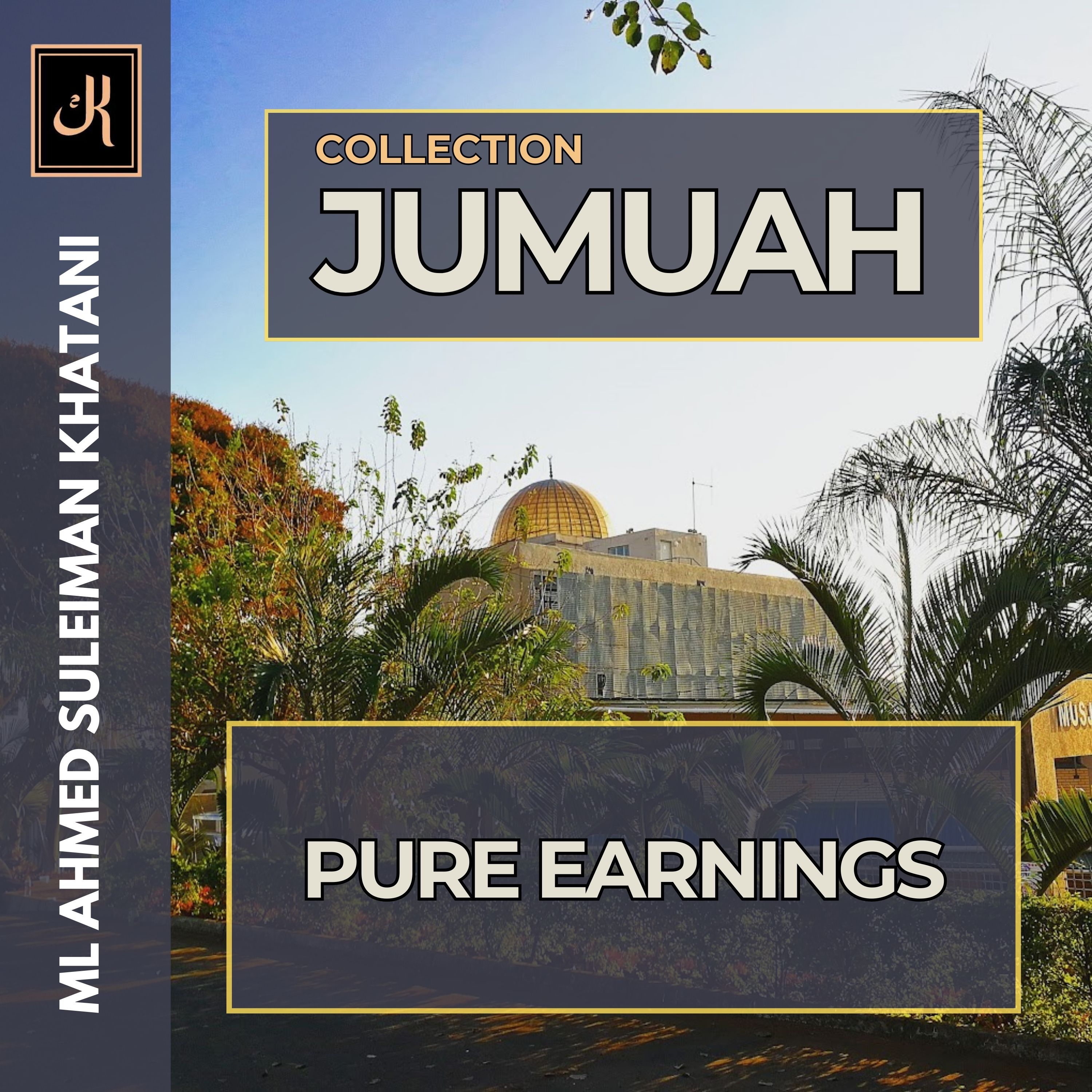 042 Pure Earnings