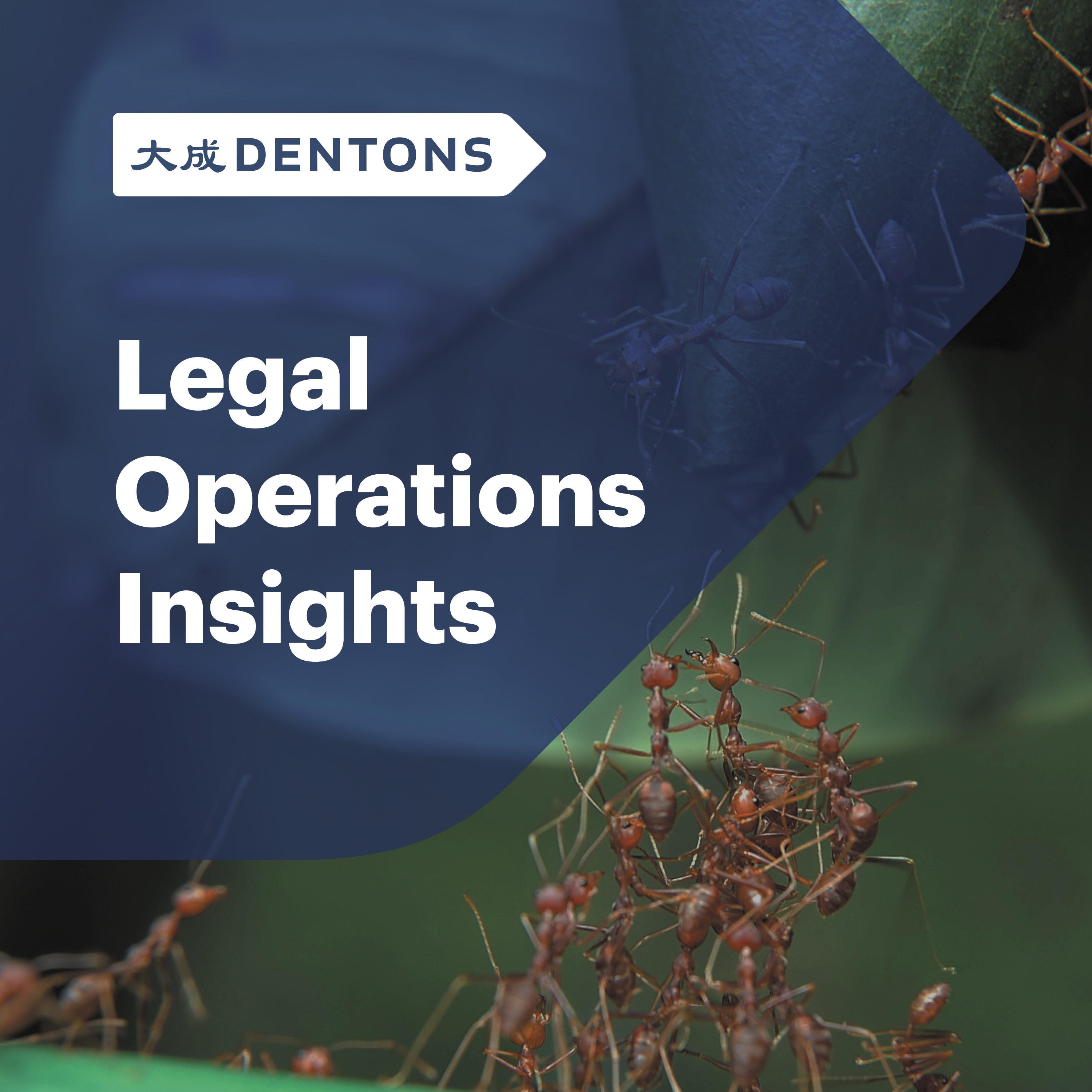 Artwork for podcast Dentons Legal Operations Insights