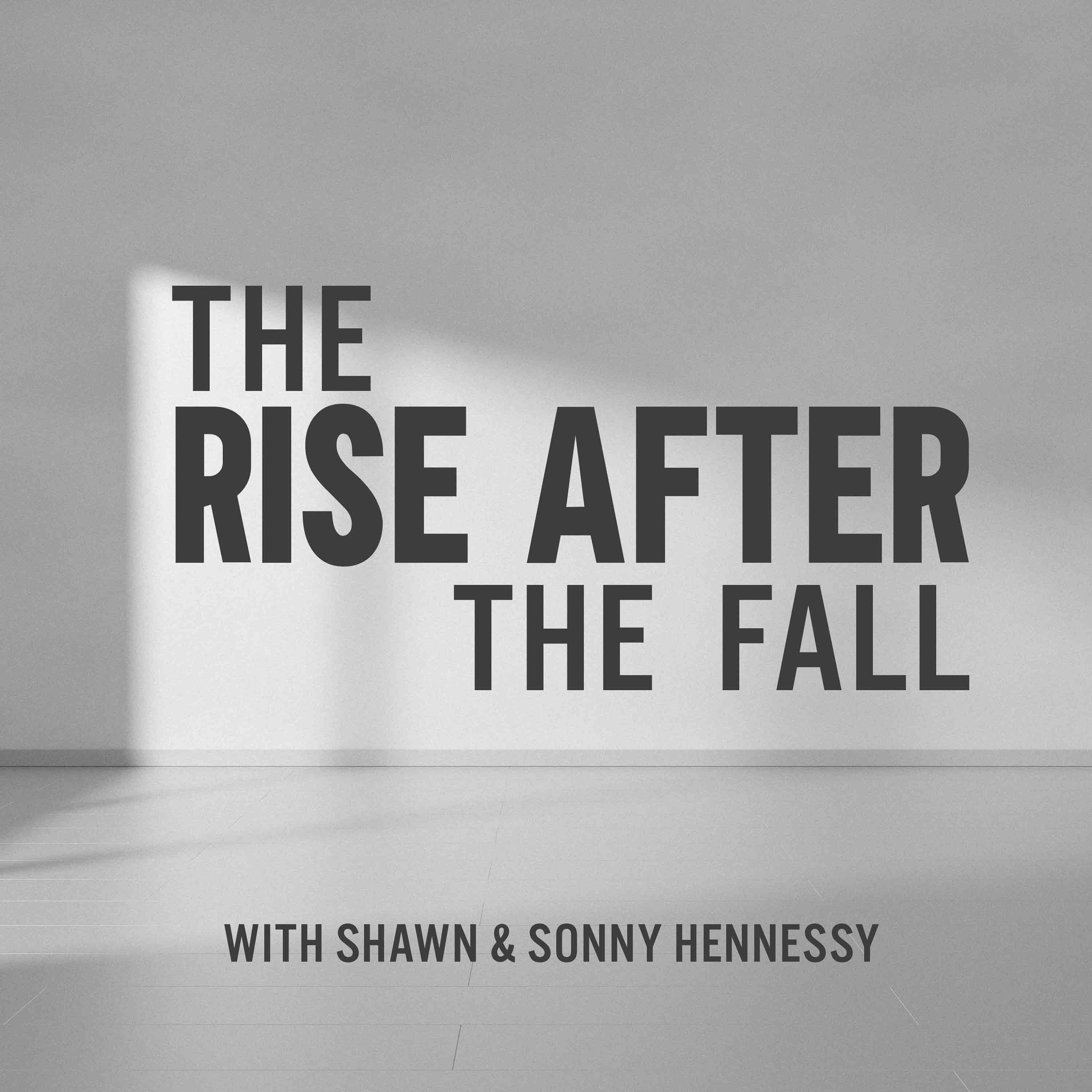 Artwork for The Rise After the Fall