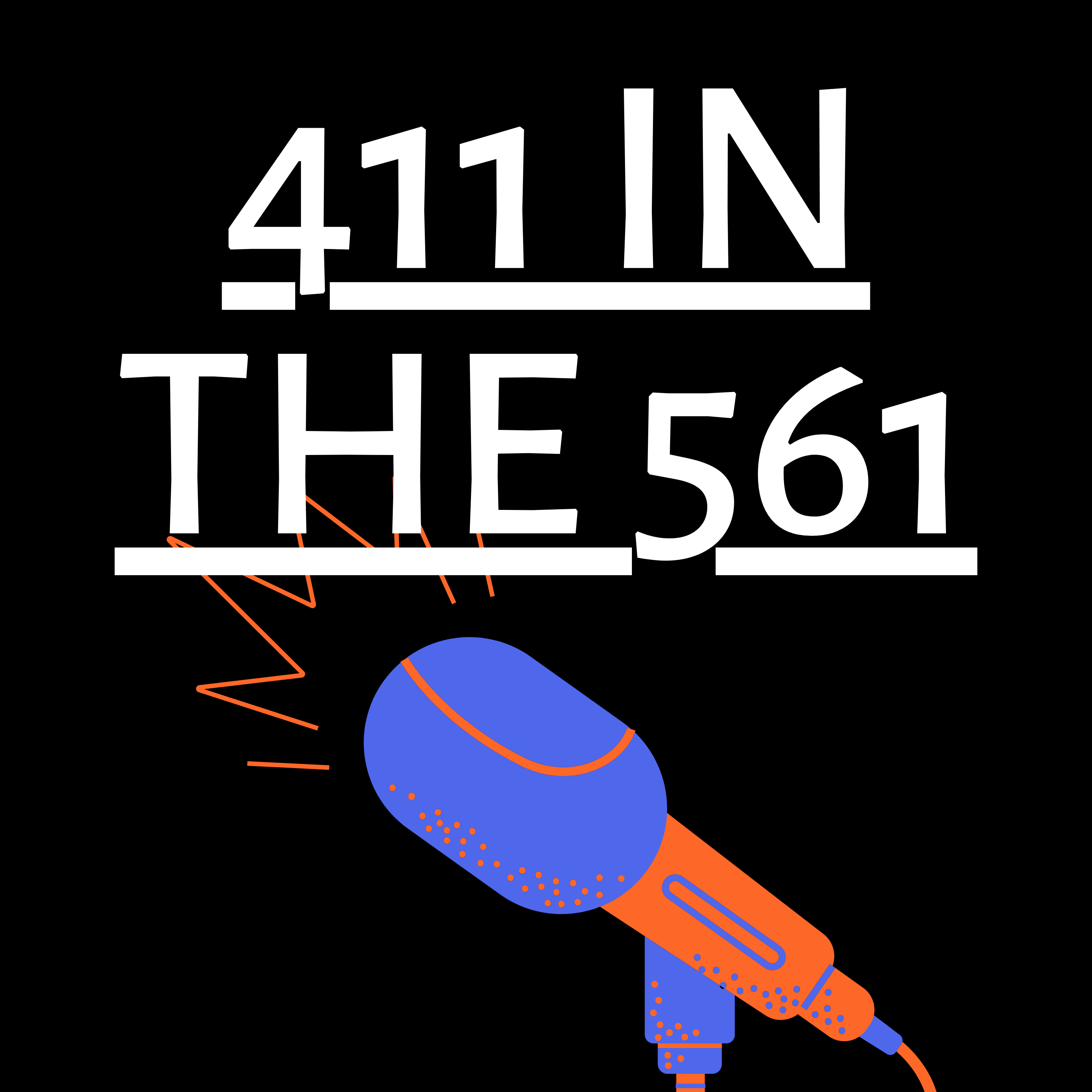 Artwork for 411 in the 561
