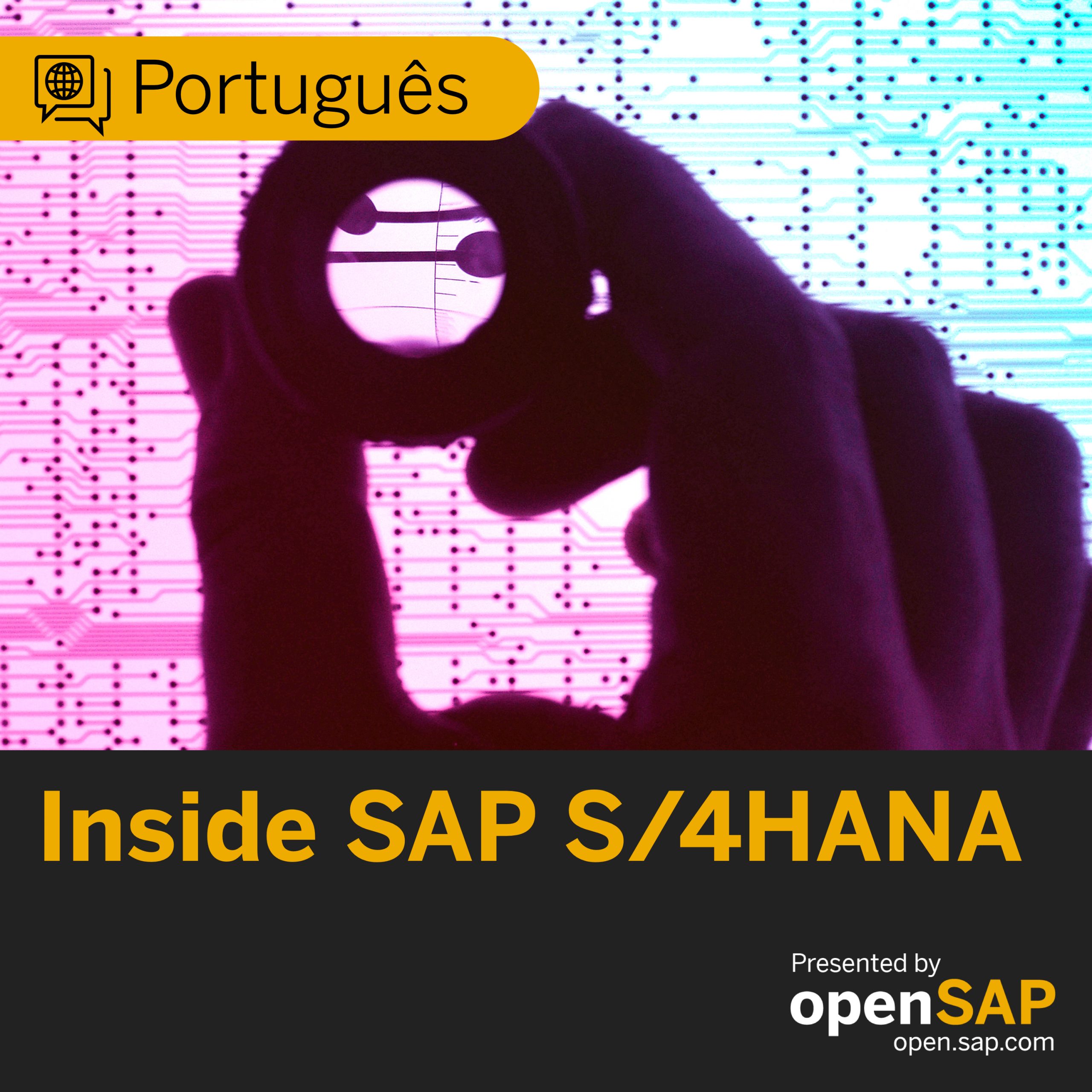 Episódio PT 11: CC/RIG - Benefícios do SAP S/4HANA - Logística episode artwork