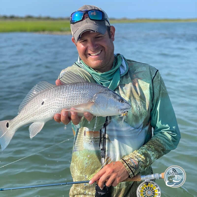 Artwork for podcast The Articulate Fly