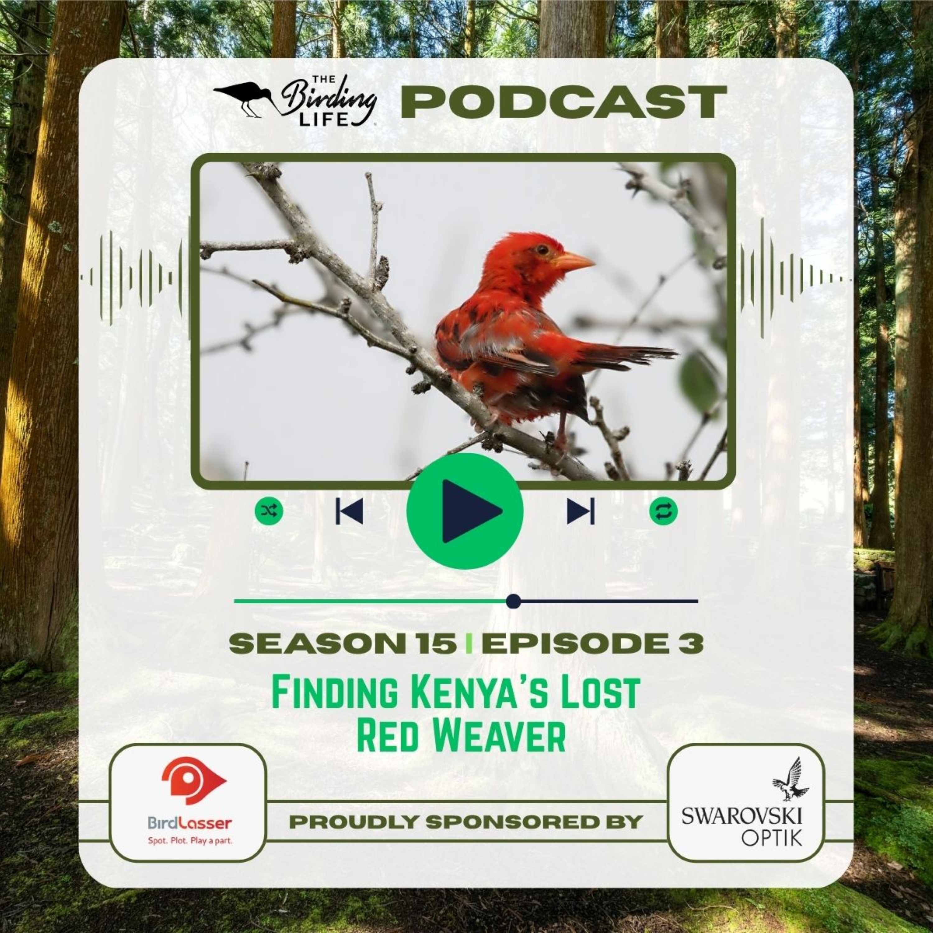 The Birding Life Podcast Network