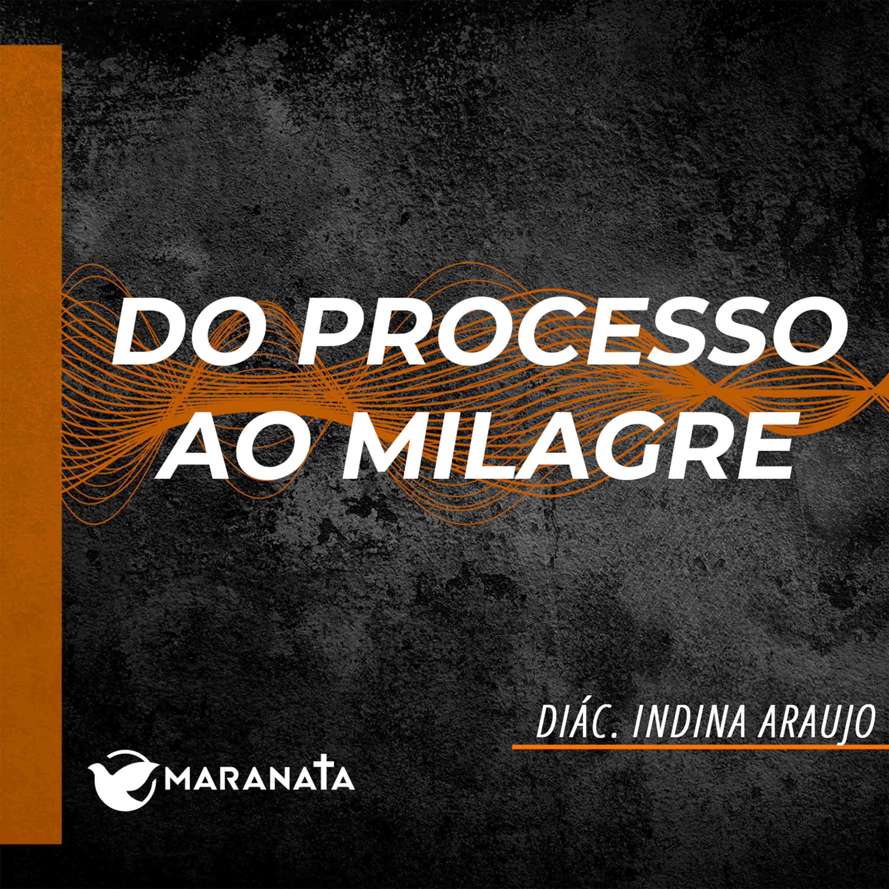 Do processo ao milagre - Diác. Índina Araujo