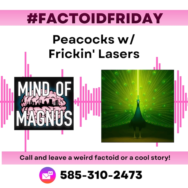 Artwork for podcast Mind Of Magnus