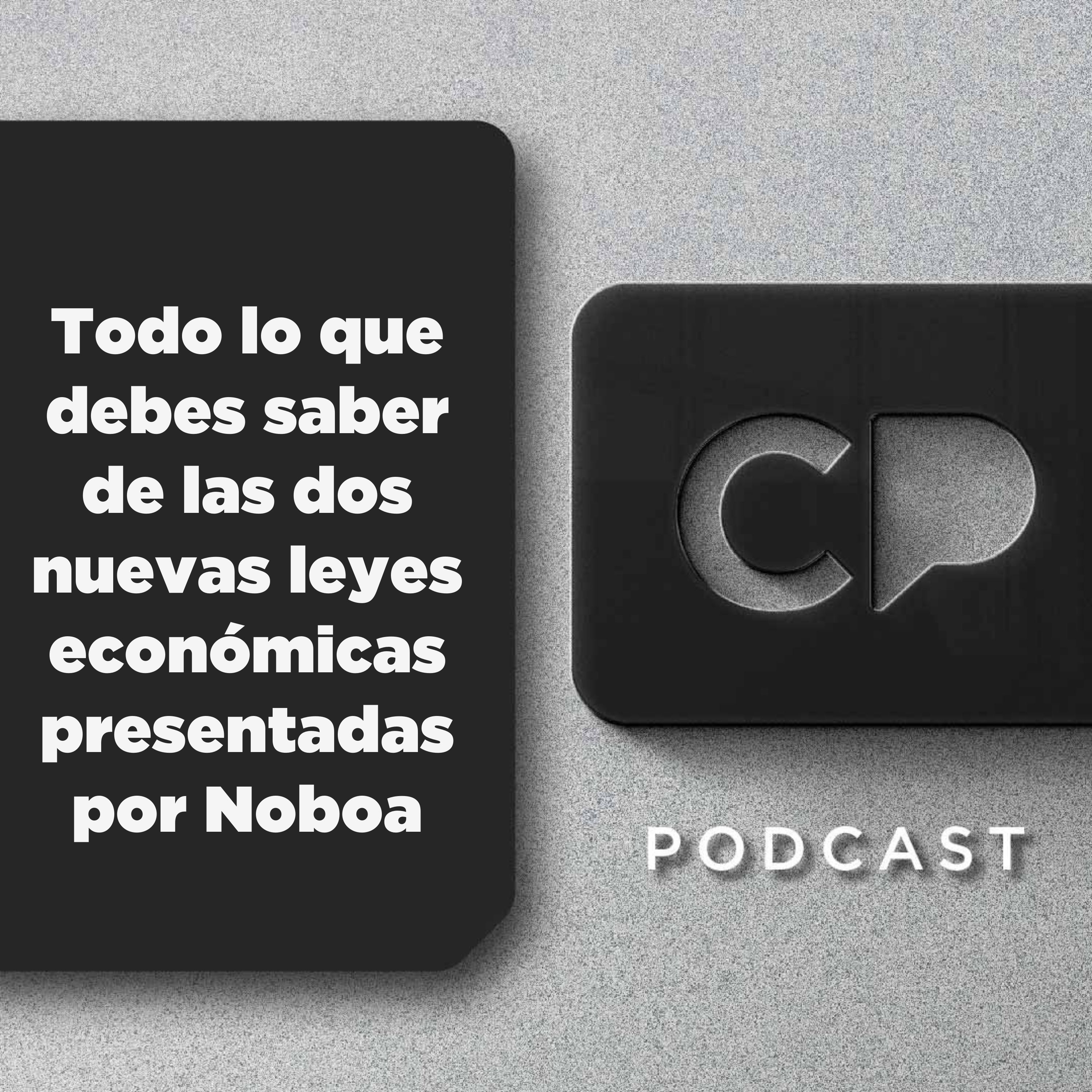 03/FEB: Todo lo que debes saber de las dos nuevas leyes económicas presentadas por Noboa