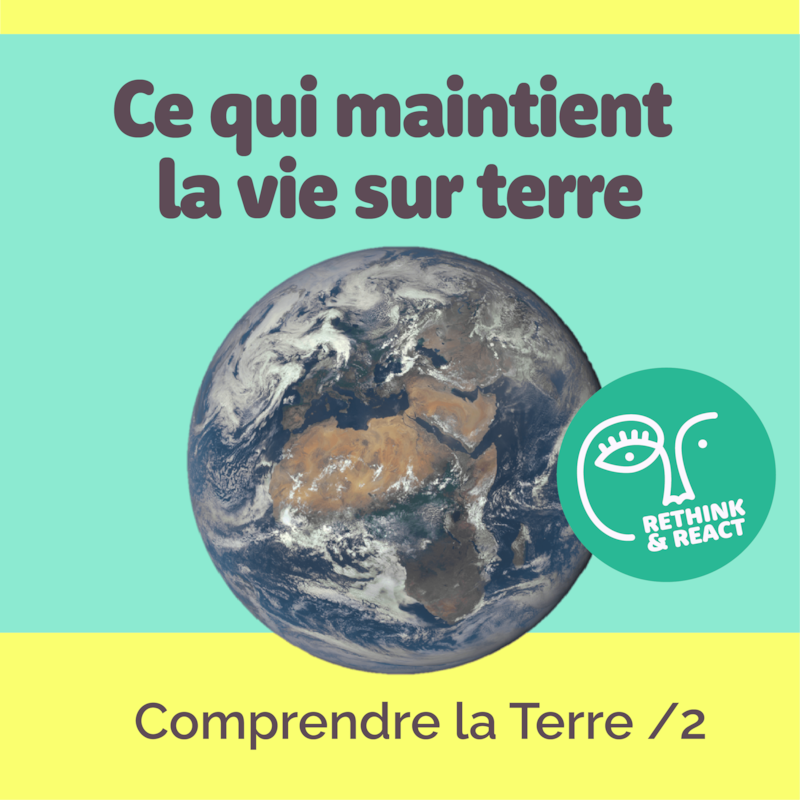 Artwork for podcast Rethink and React; Santé, Environnement, Transformons demain