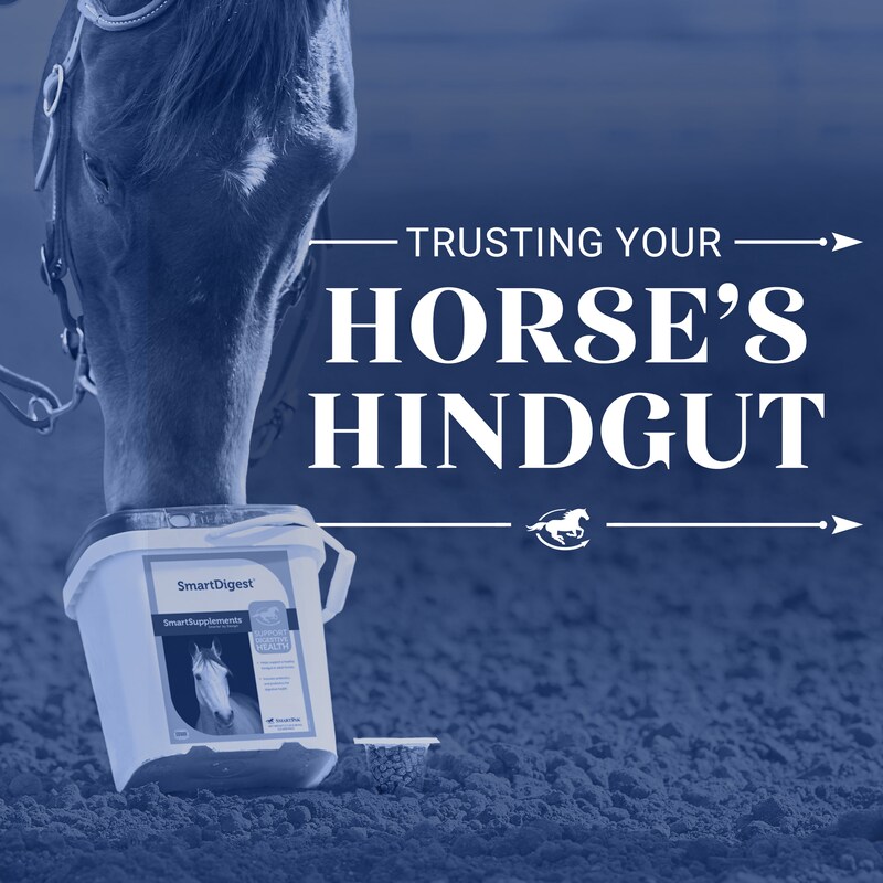 Artwork for podcast The Horse HealthCast with SmartEquine