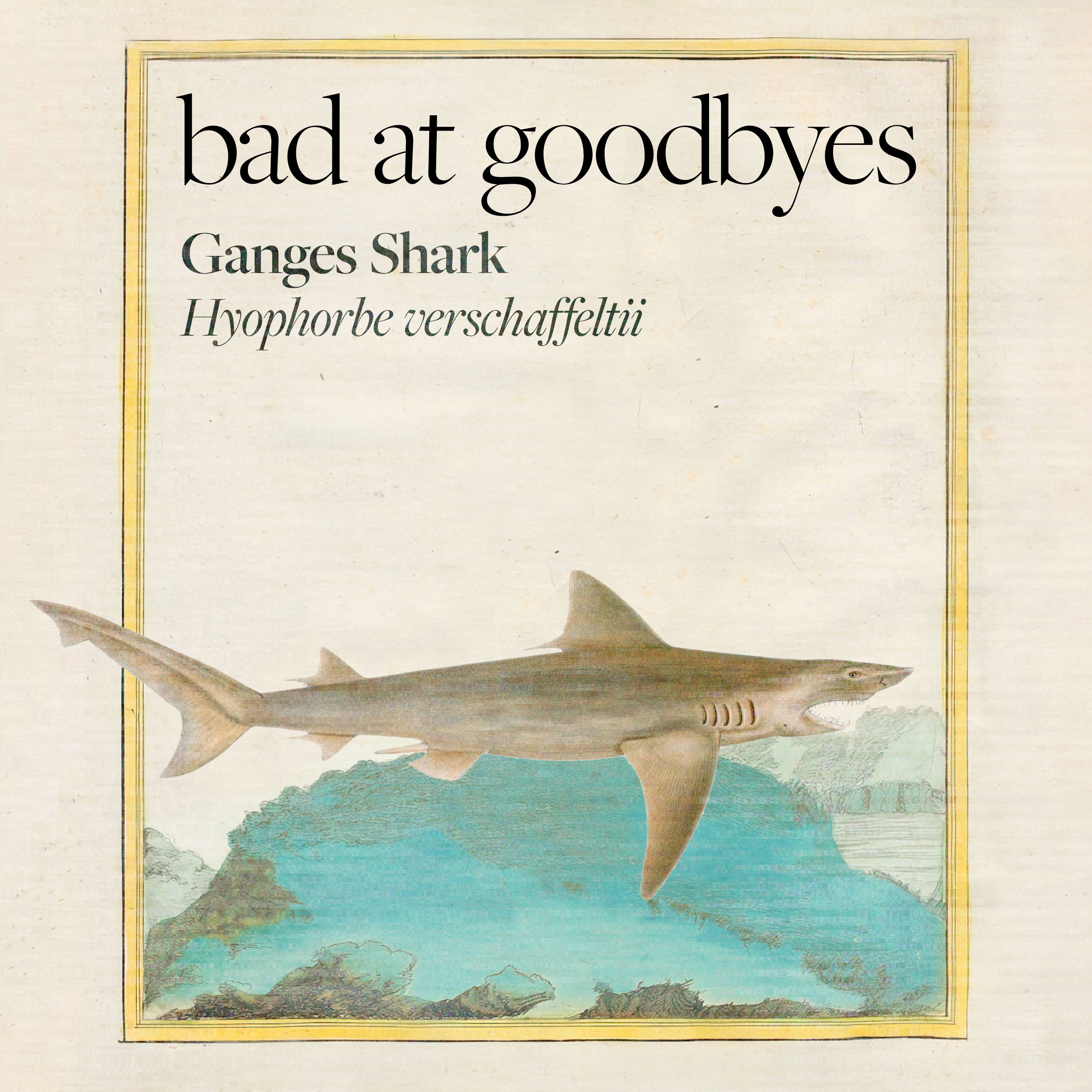 Ganges Shark episode artwork