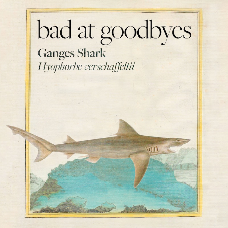 Artwork for podcast Bad at Goodbyes