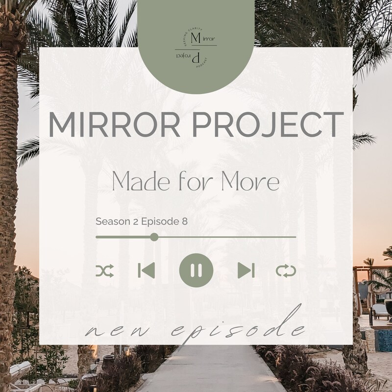 Artwork for podcast The Mirror Project