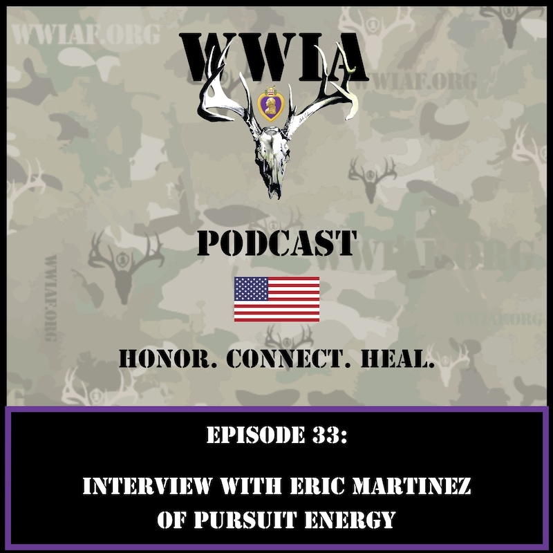 Artwork for podcast WWIA Podcast