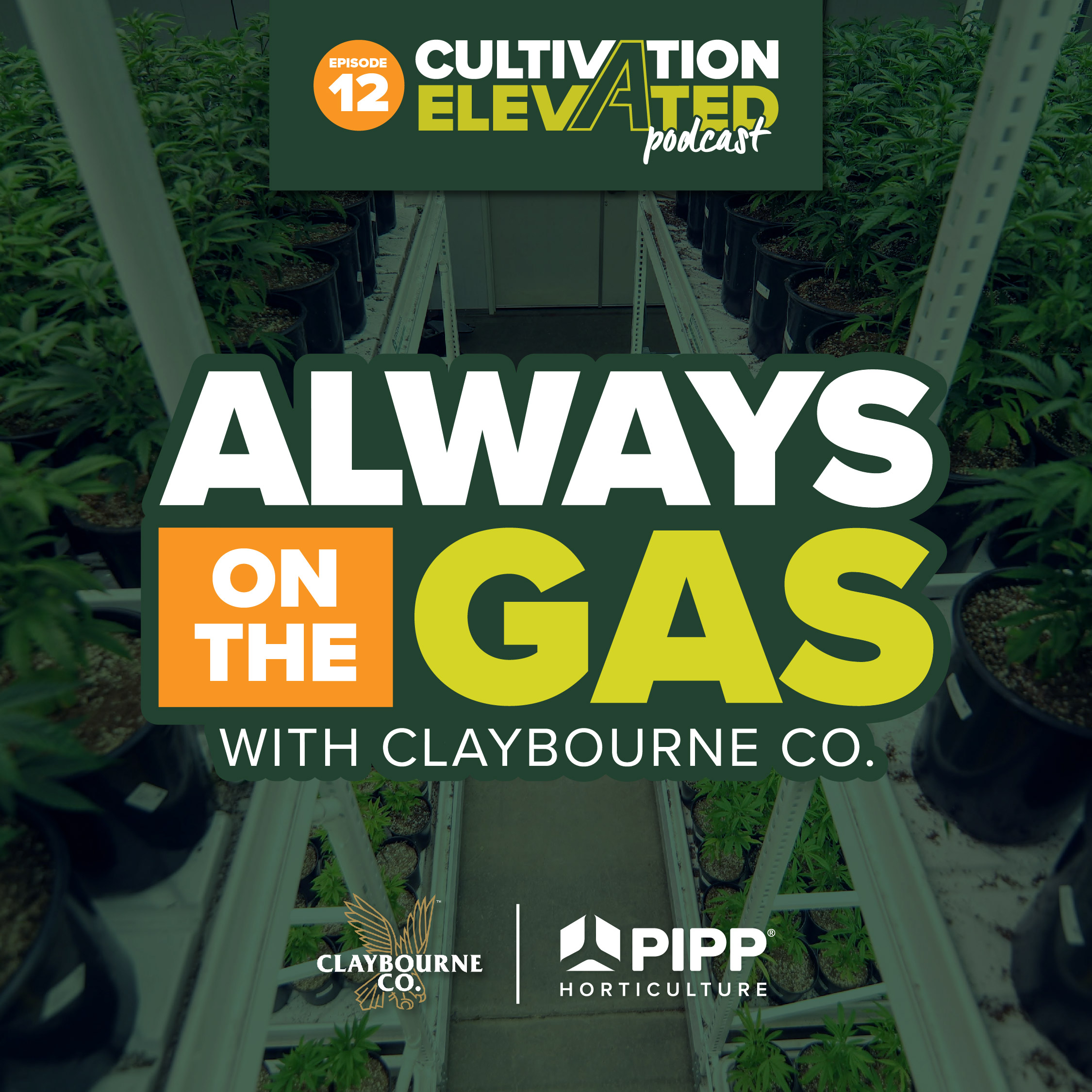Cultivation Elevated - Indoor Farming, Cannabis Growers & Cultivators - Pipp Horticulture