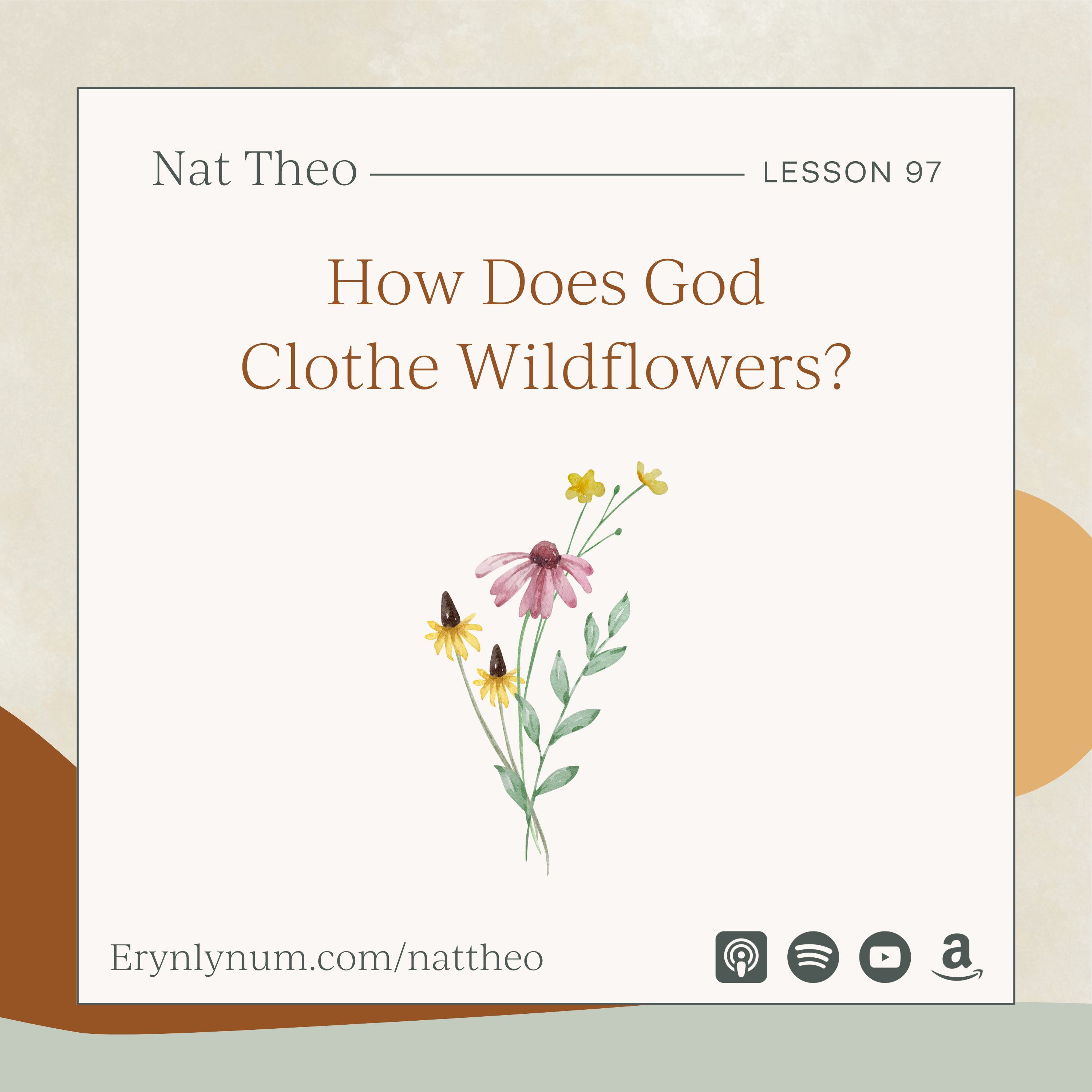 How Does God Clothe Wildflowers? With Ruth Chou Simons - Lesson 97
