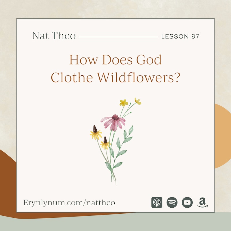 Artwork for podcast Nat Theo Nature Lessons Rooted in the Bible