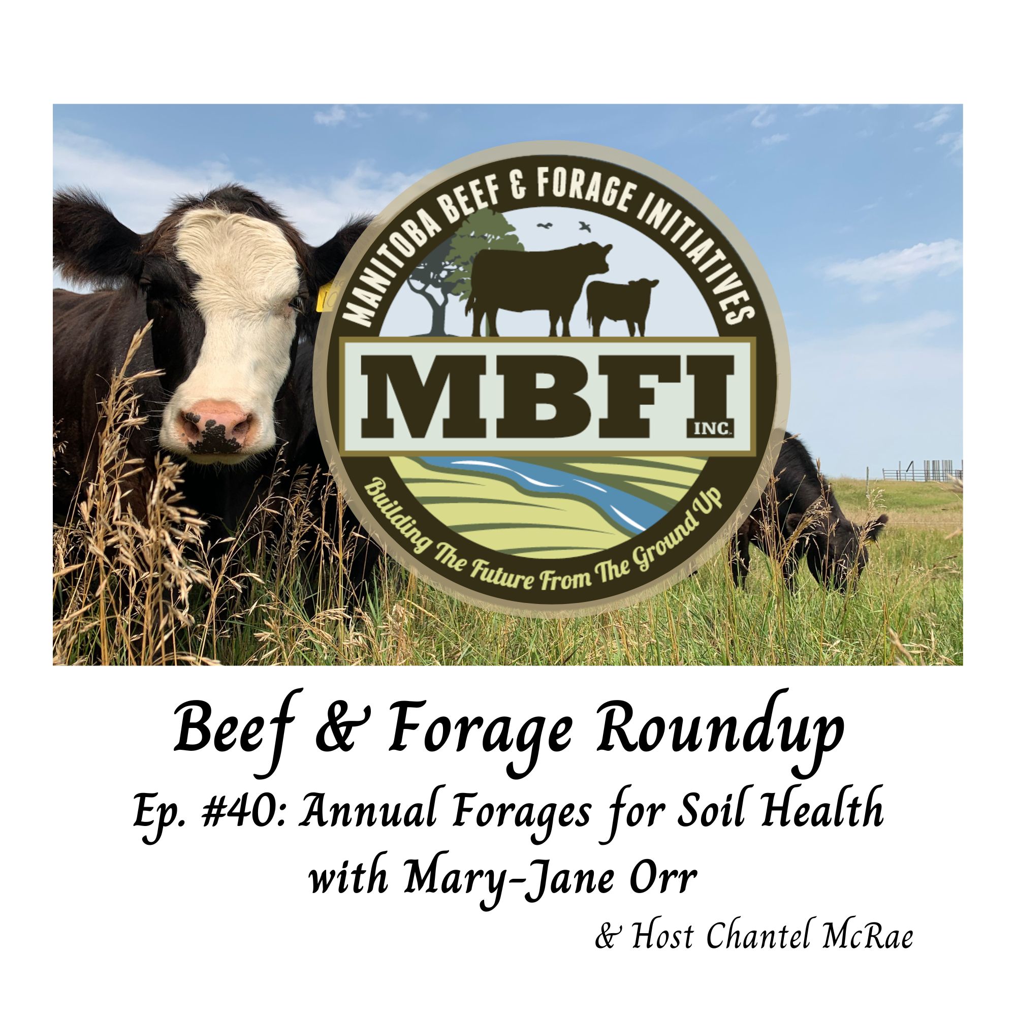 Beef and Forage Roundup