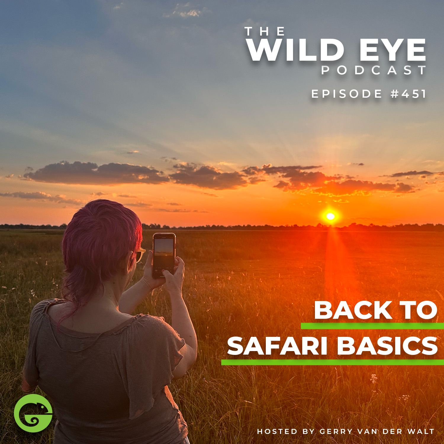 #451 - Back to safari basics