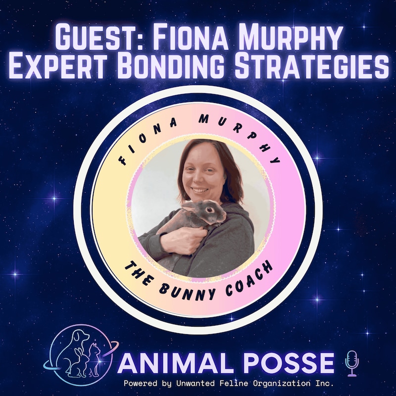 Artwork for podcast Animal Posse