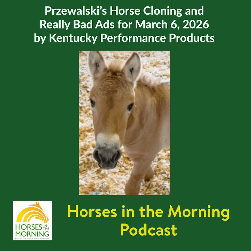 Artwork for podcast Horses in the Morning