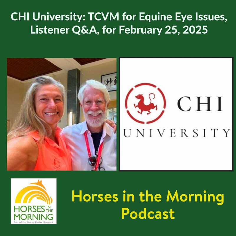 Artwork for podcast HORSES IN THE MORNING