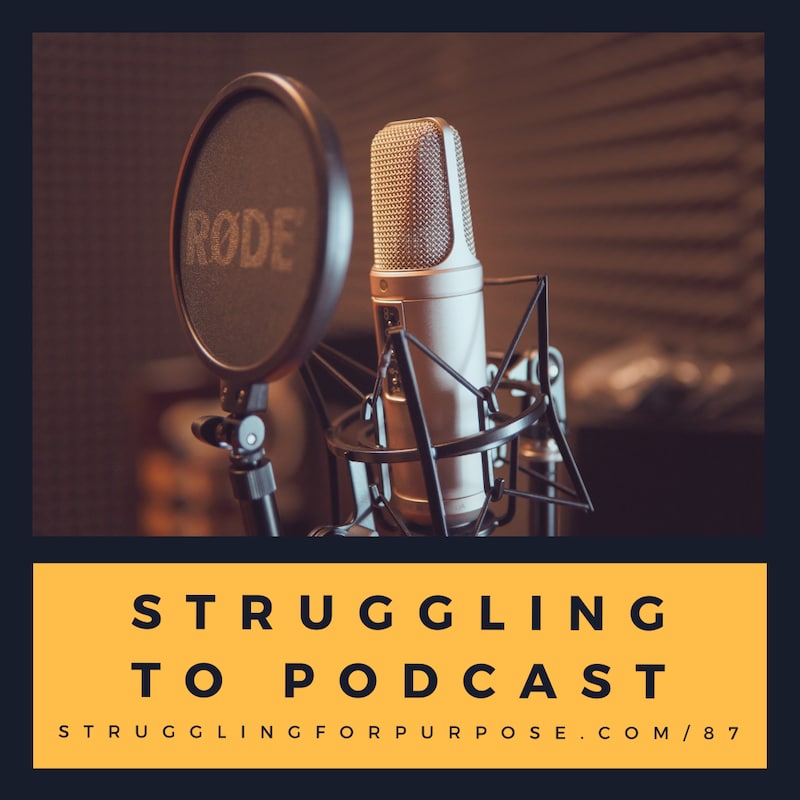 Artwork for podcast Struggling for Purpose
