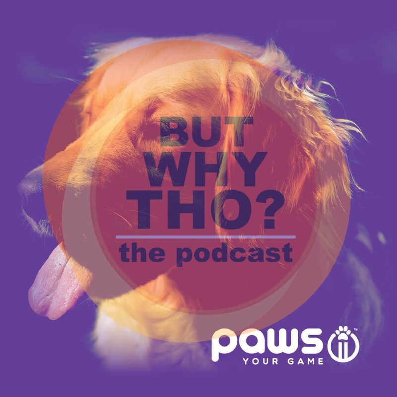 Artwork for podcast But Why Tho?