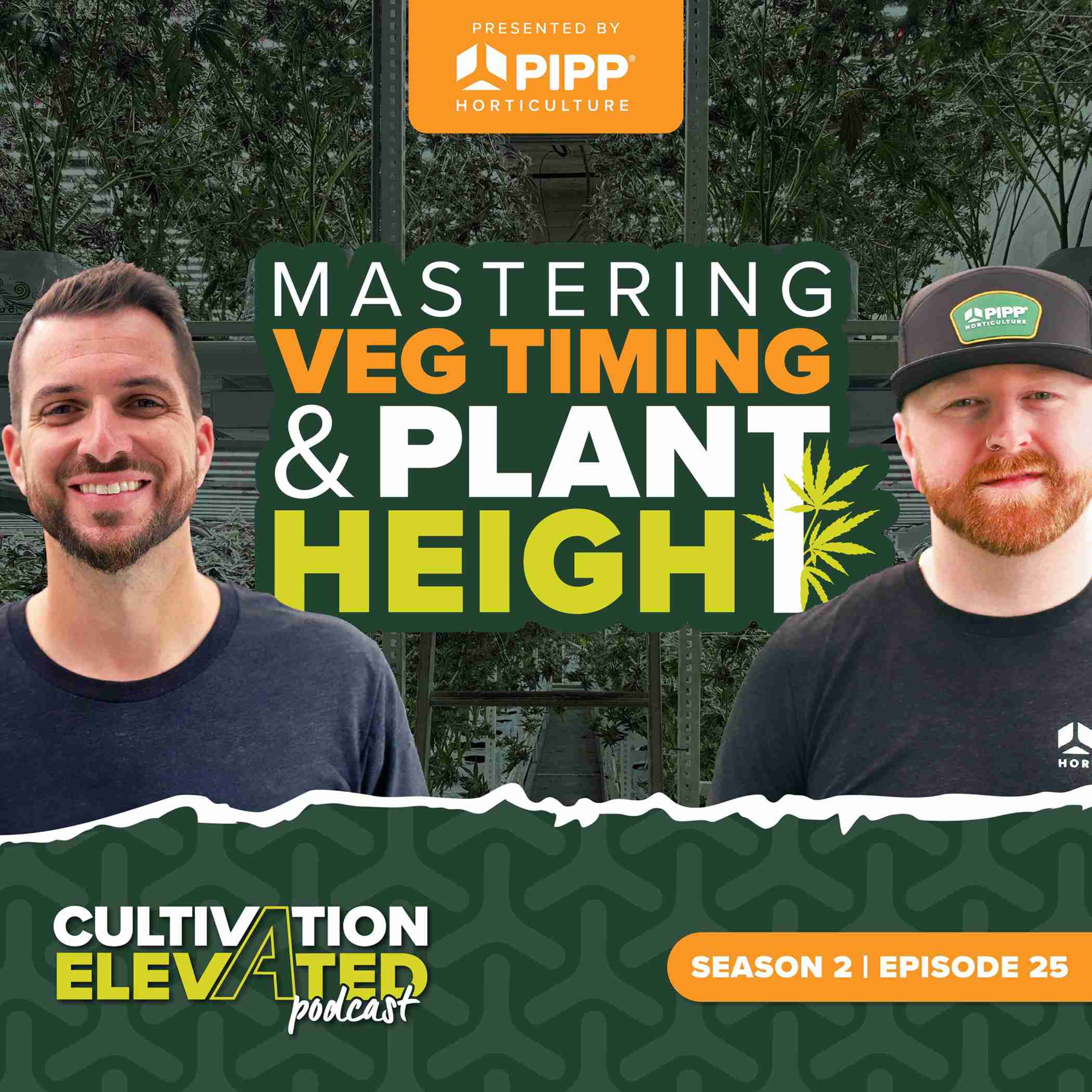 Cultivation Elevated - Indoor Farming, Cannabis Growers & Cultivators - Pipp Horticulture