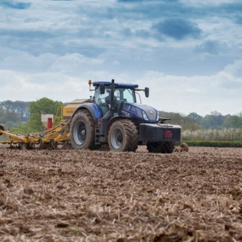 Artwork for podcast AHDB Food & Farming