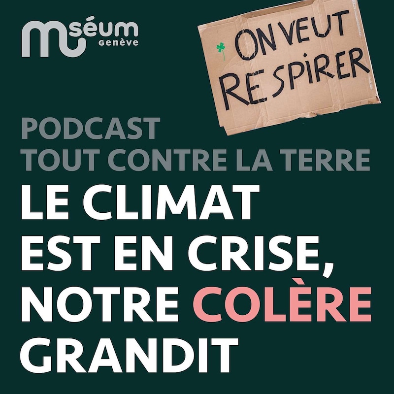 Artwork for podcast Tout contre la Terre, le podcast