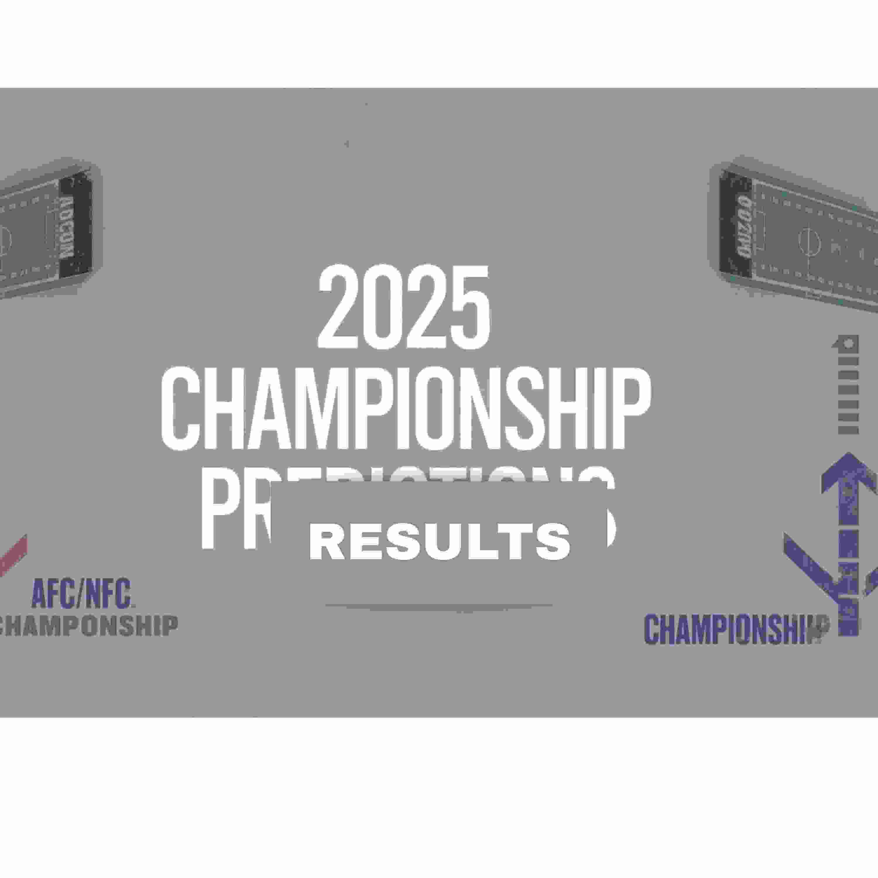 From Fourteen to Two: The Journey to the Super Bowl