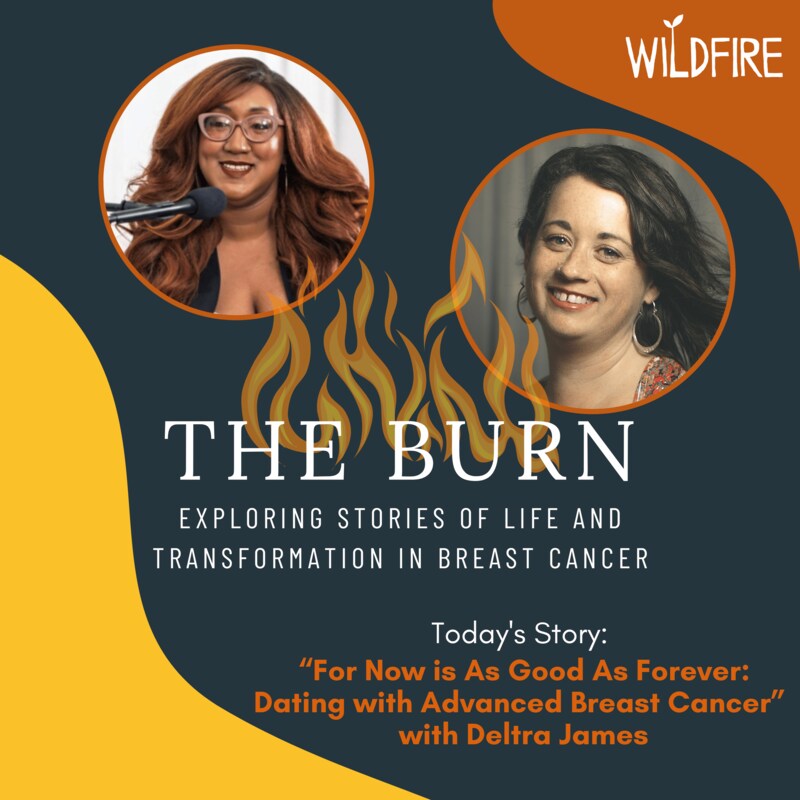 Artwork for podcast The Burn
