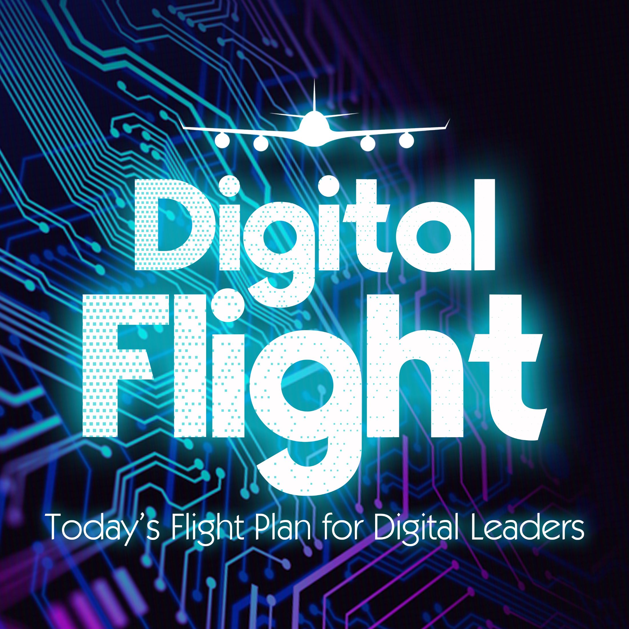 Show artwork for Digital Flight