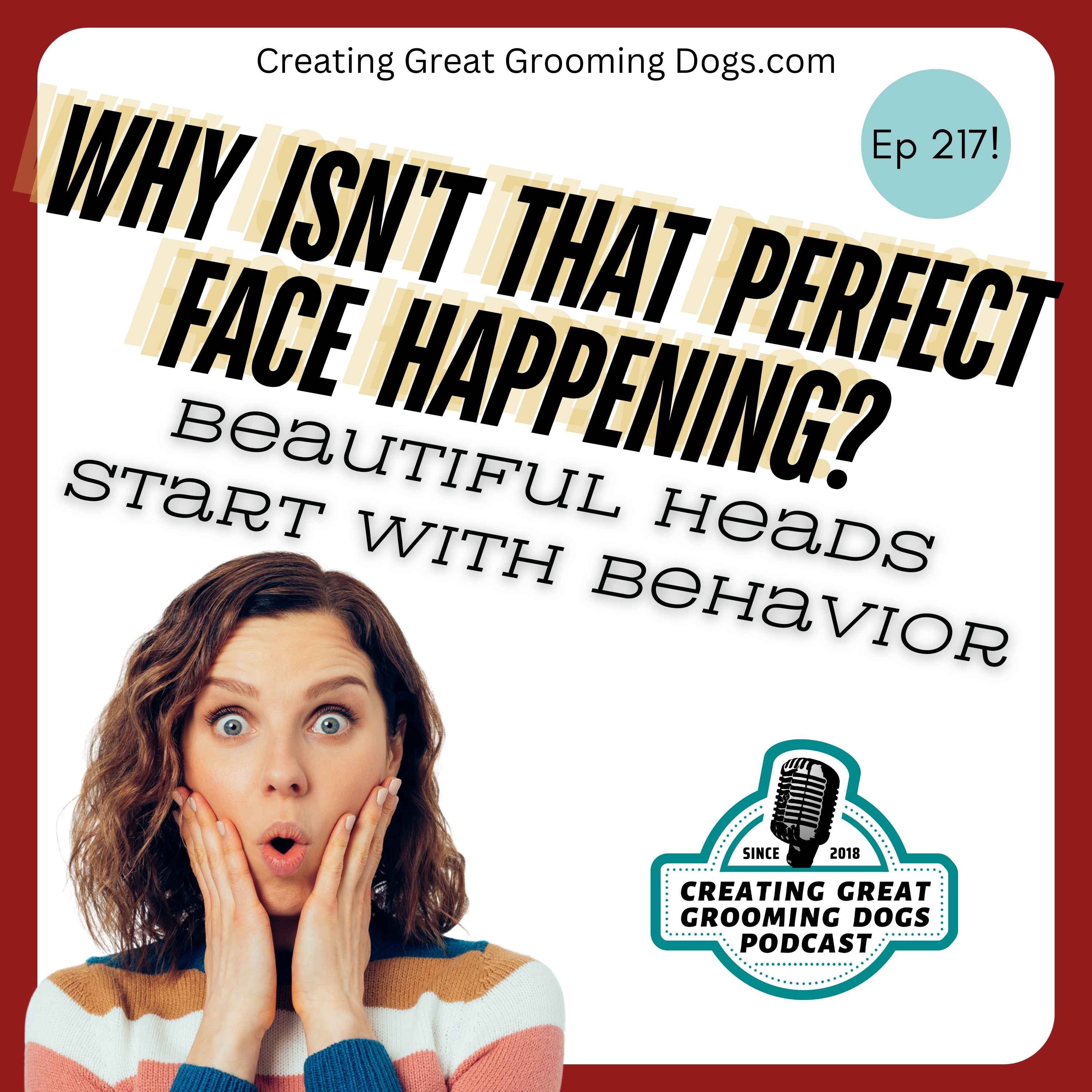 Why Isn't That Perfect Face Happening? Ep217