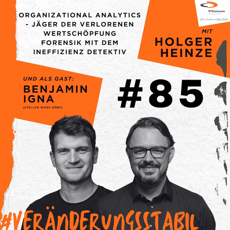 Artwork for podcast Veränderungsstabil