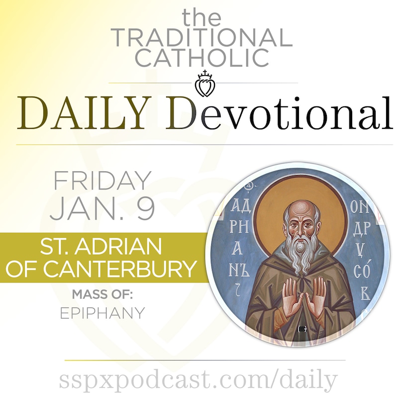 Artwork for podcast Traditional Catholic Daily Devotional