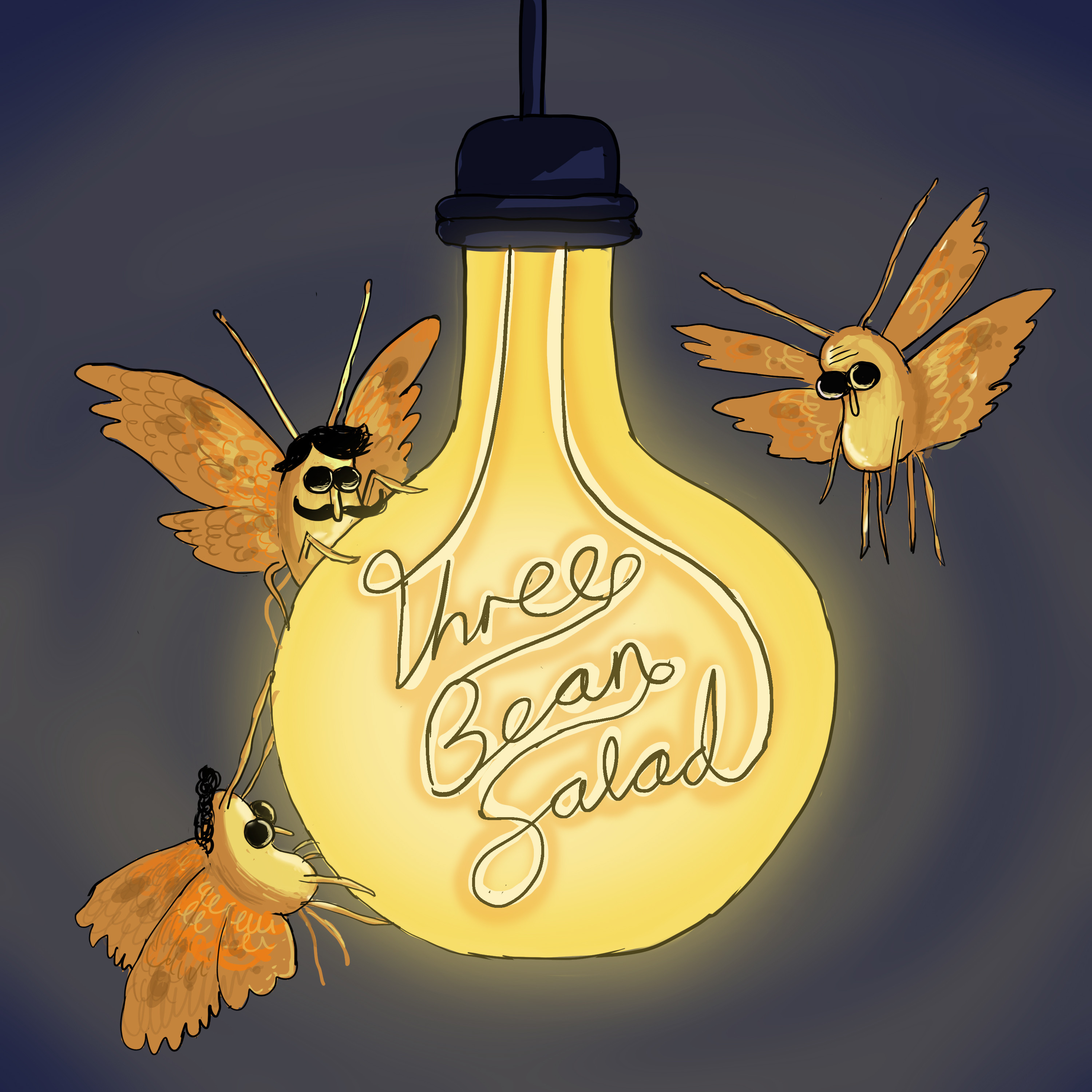 Moths