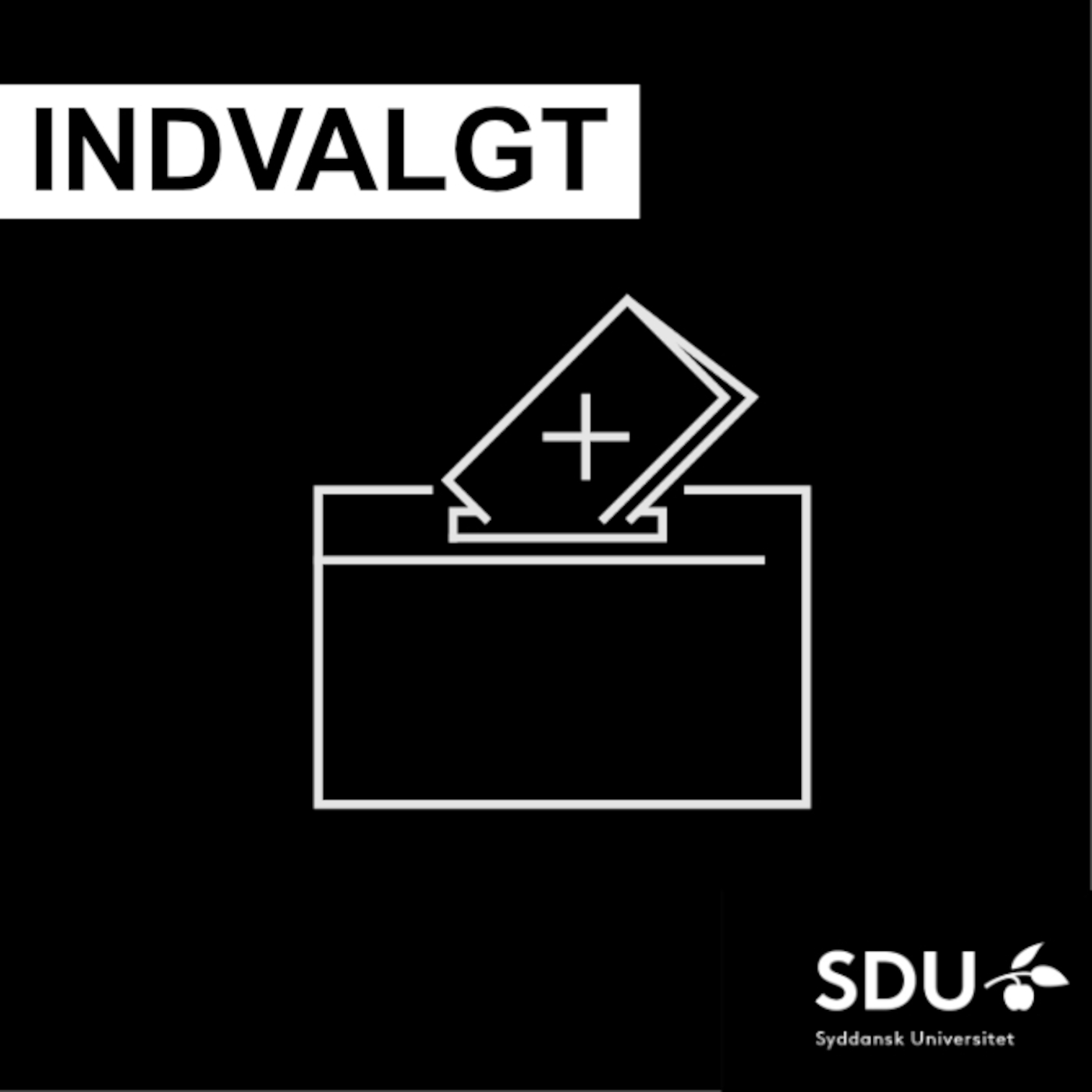 Artwork for Indvalgt