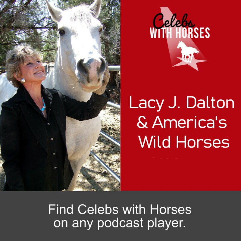 Artwork for podcast Celebs with Horses