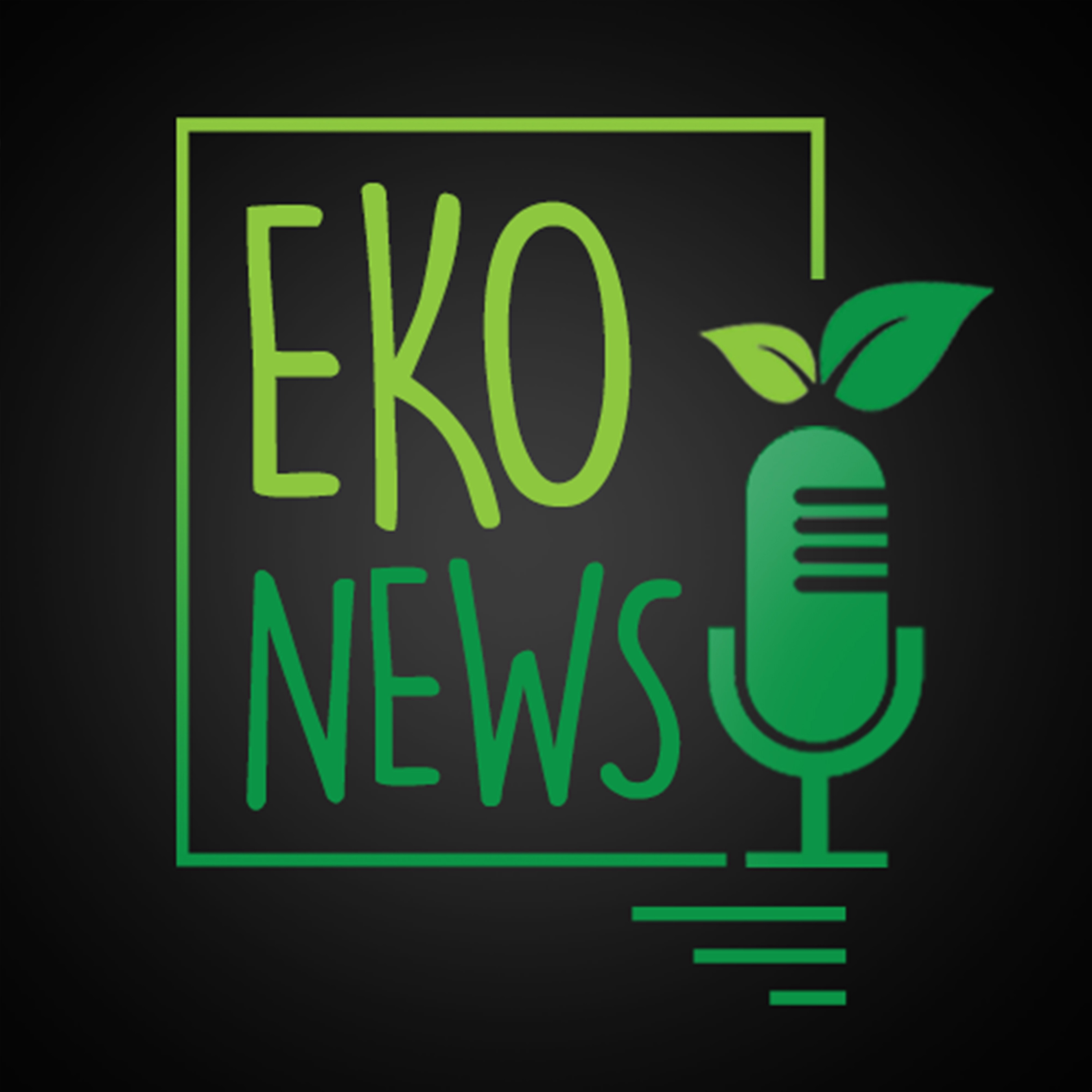 Zoo v Bojniciach sa stará o medvieďatá, ryby zo Slanej obsahujú arzén aj ortuť (EKOnews)