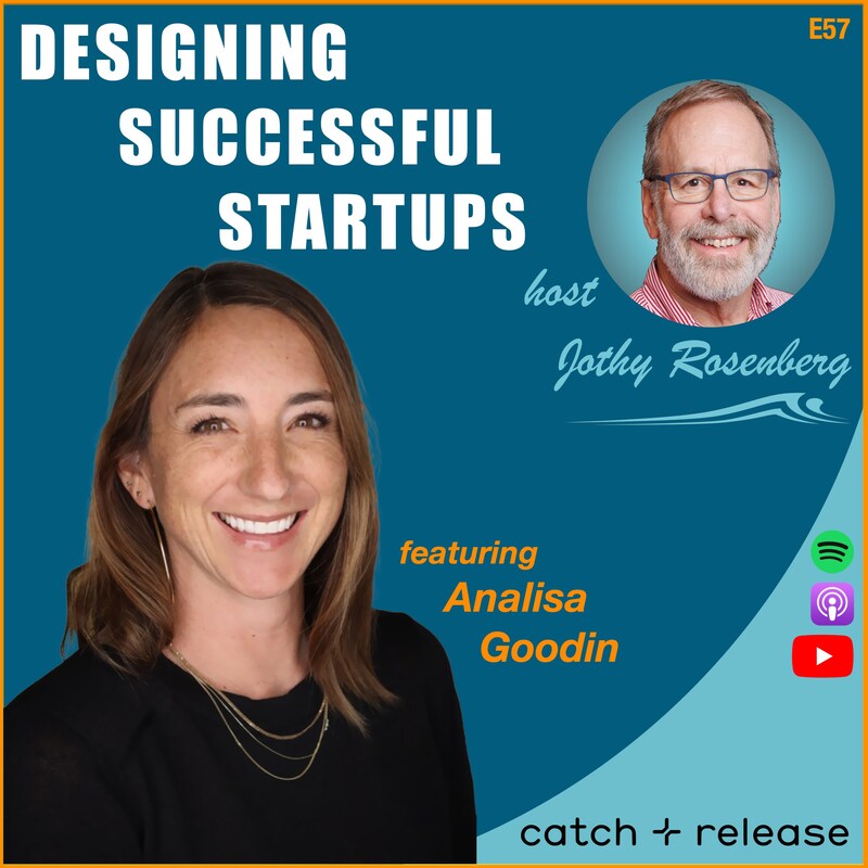 Artwork for podcast Designing Successful Startups