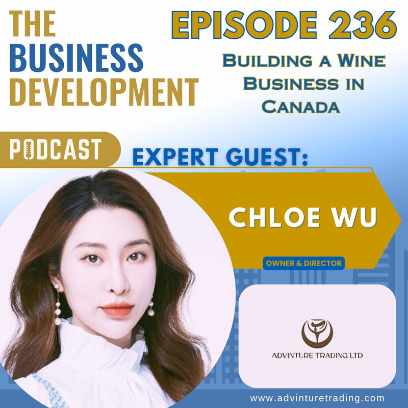 Artwork for podcast The Business Development Podcast