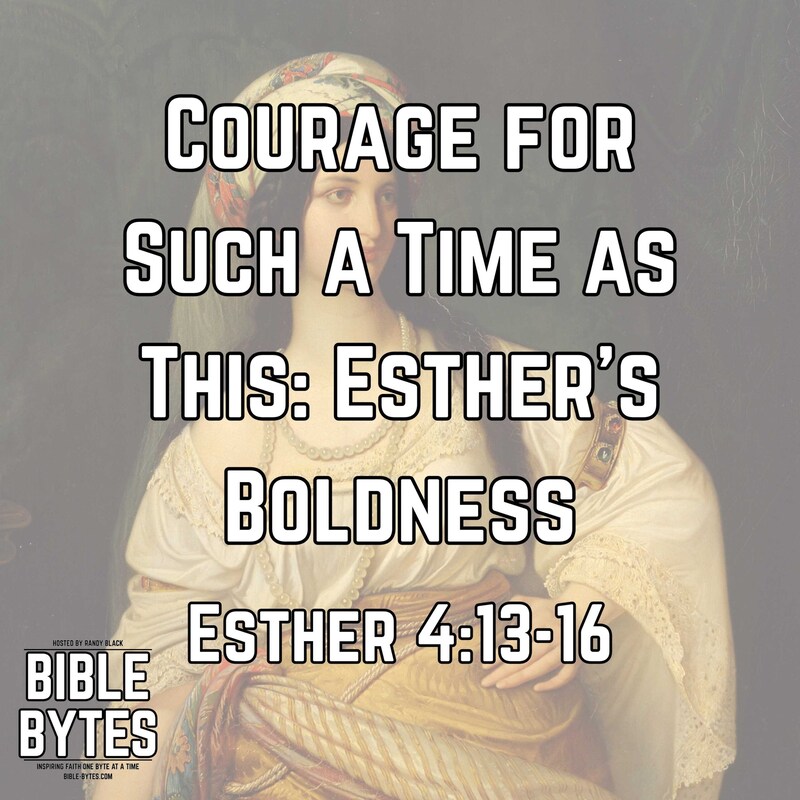 Artwork for podcast Bible Bytes