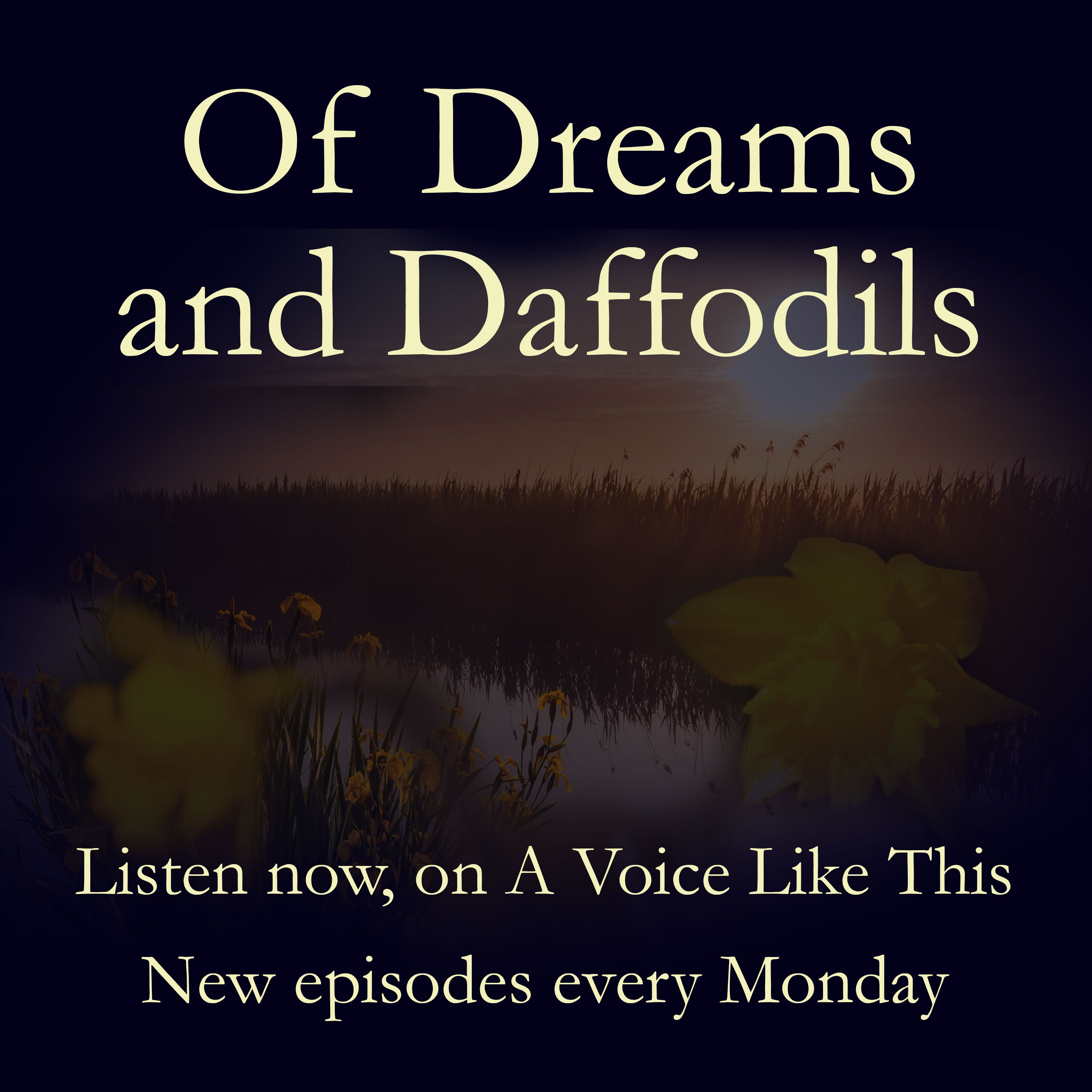 A Voice Like This