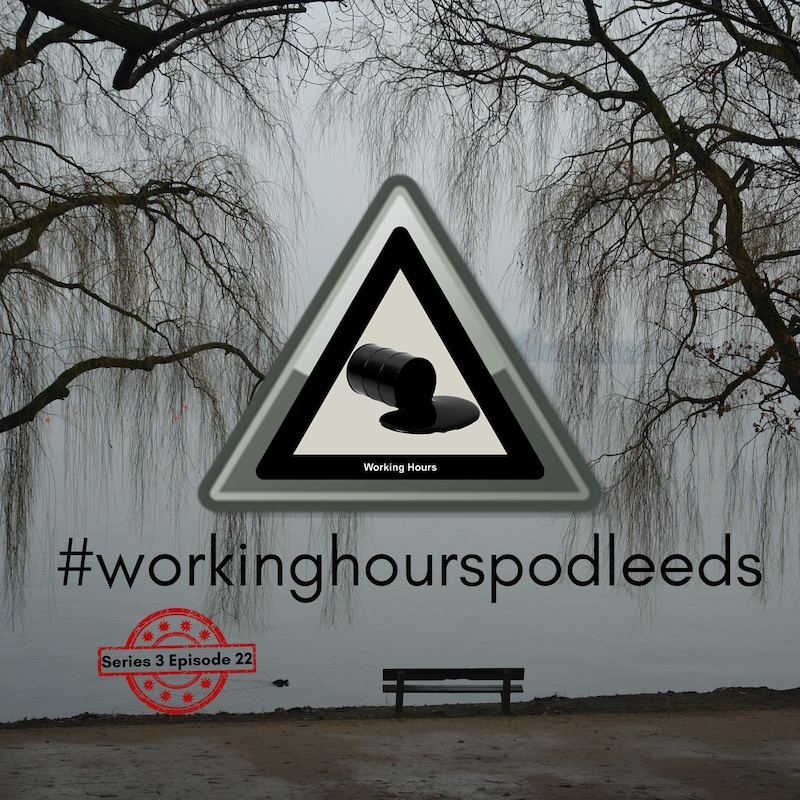 Artwork for podcast Working Hours
