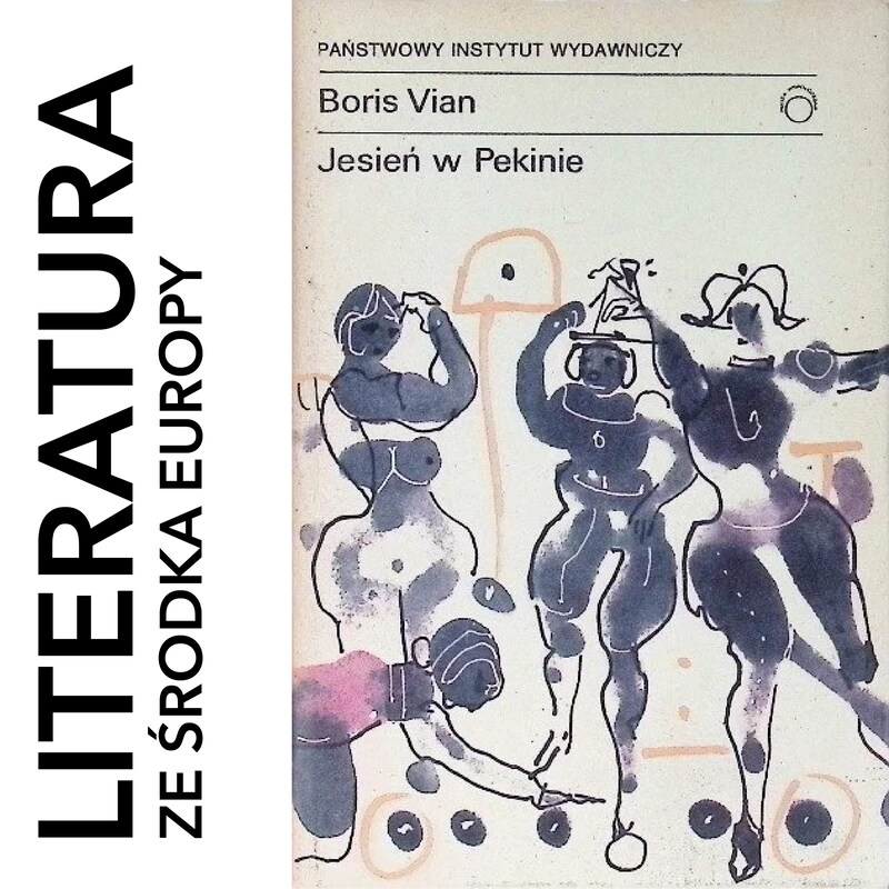 Artwork for podcast Literatura ze środka Europy
