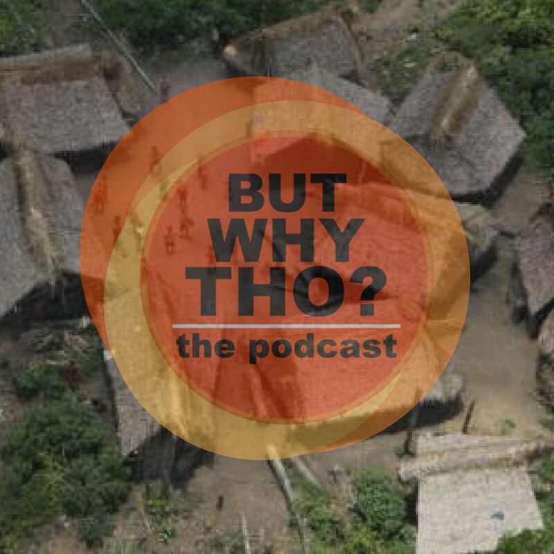 Artwork for podcast But Why Tho?
