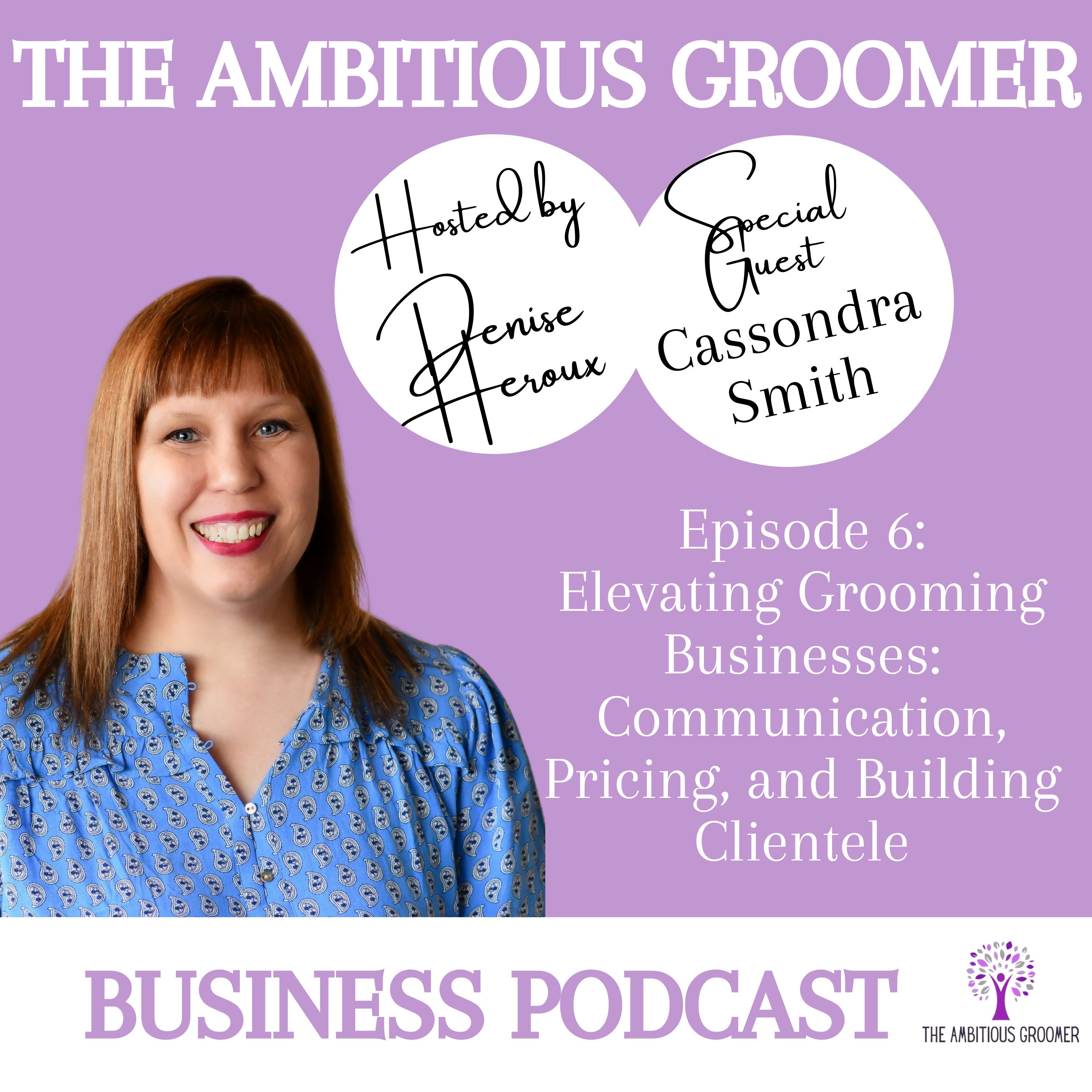 The Ambitious Groomer Business Podcast
