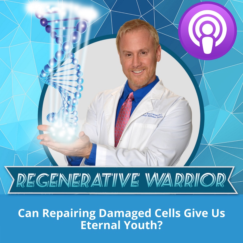 Artwork for podcast Regenerative Warrior Podcast