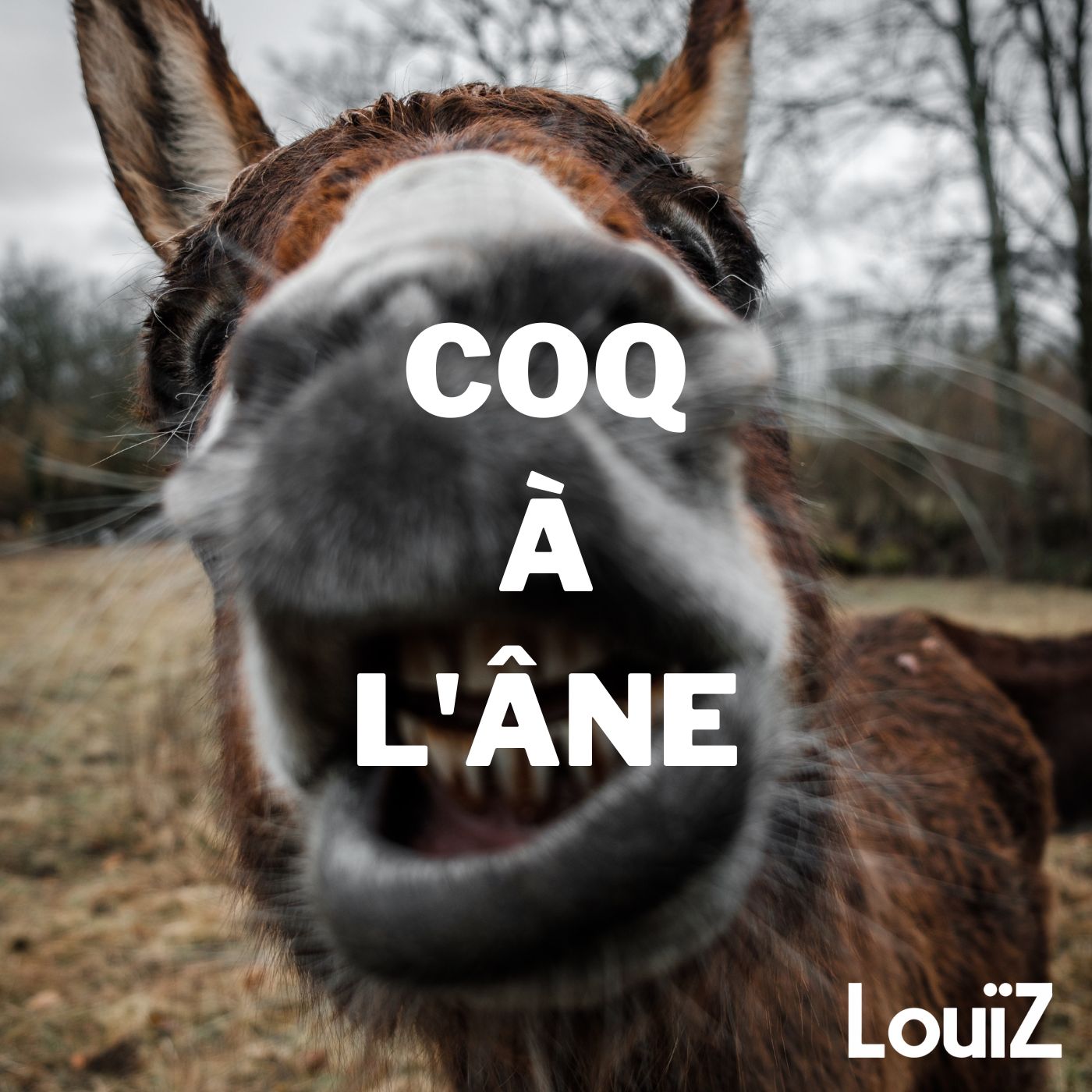 Artwork for podcast Coq à l'âne